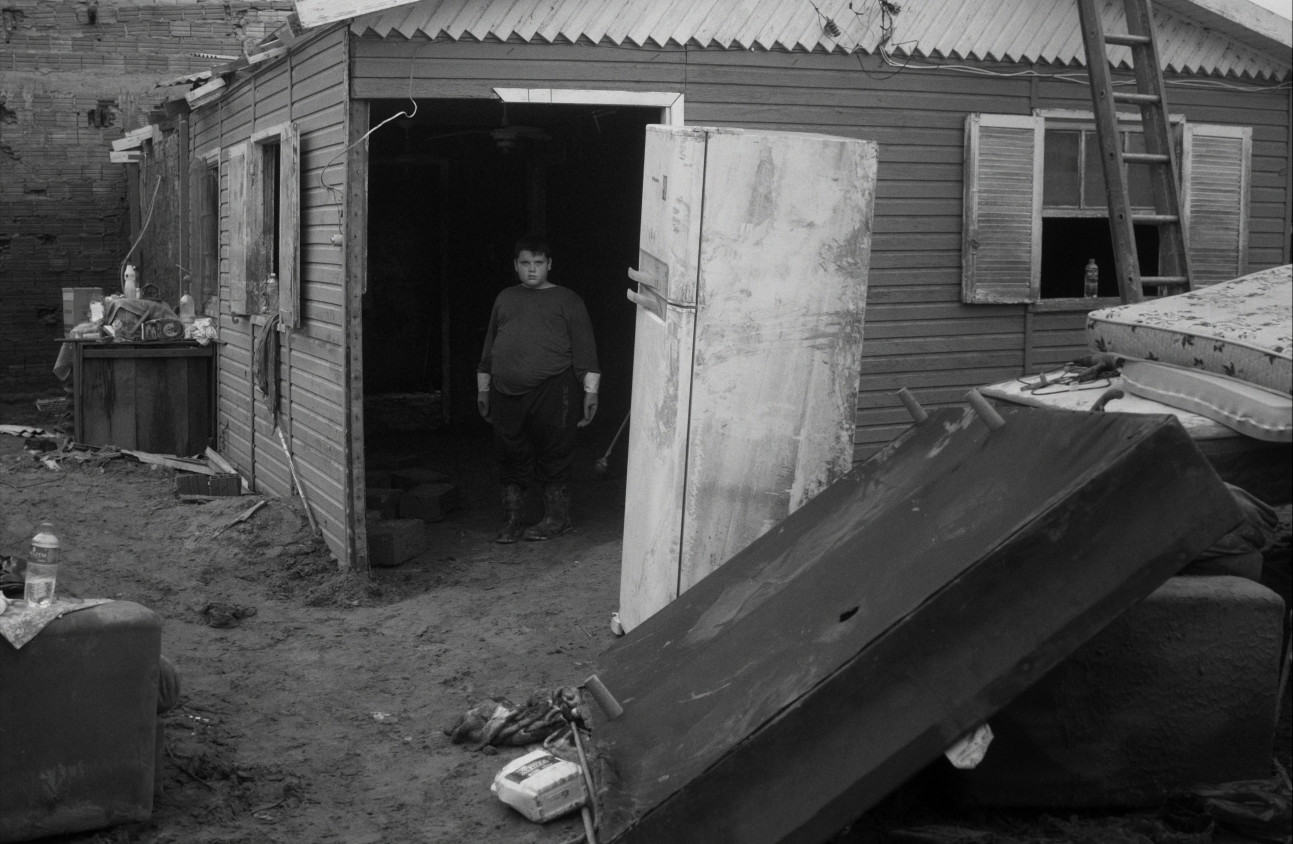 Macaque in the trees