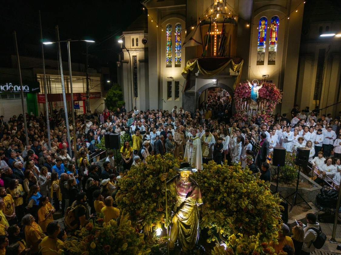 Macaque in the trees