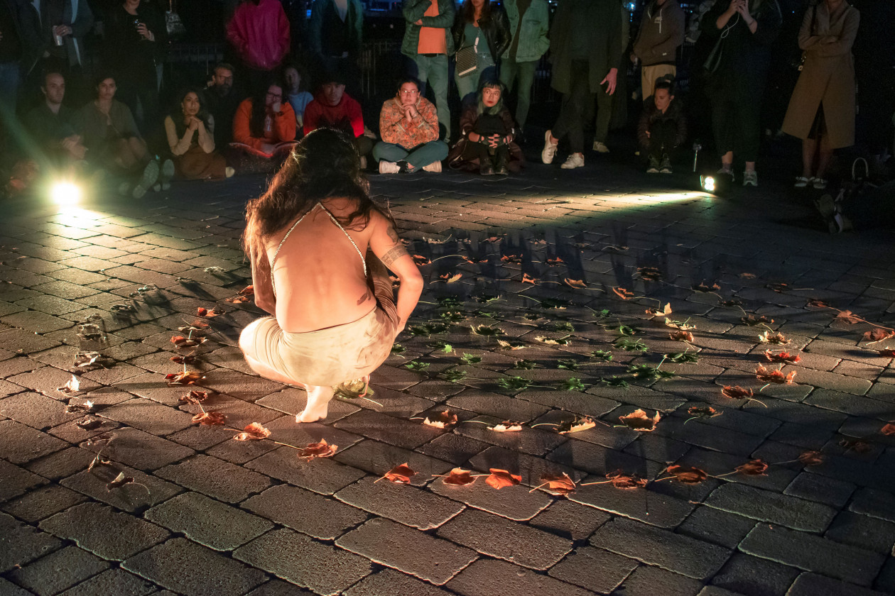 Macaque in the trees
