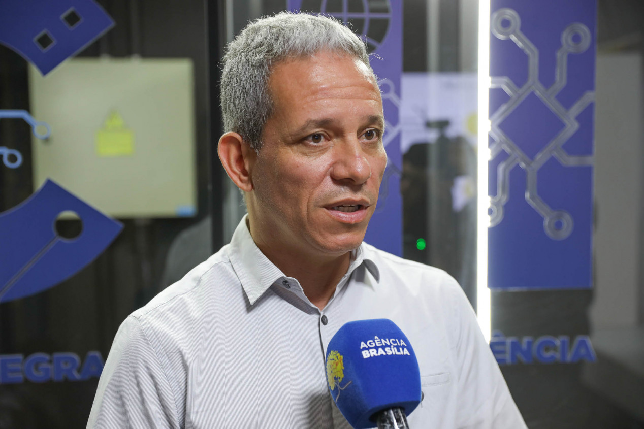 Macaque in the trees