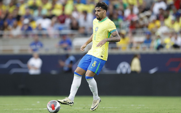 Macaque in the trees