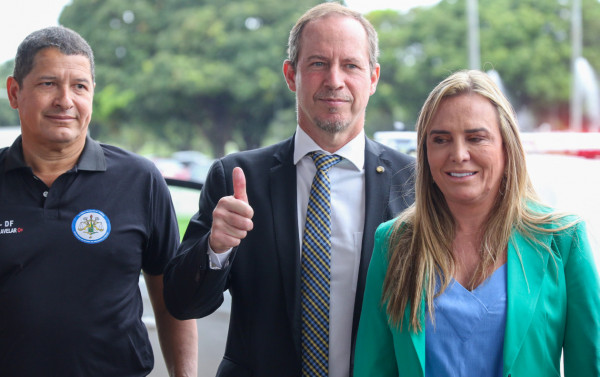 Macaque in the trees