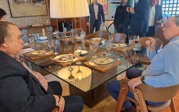 Macaque in the trees