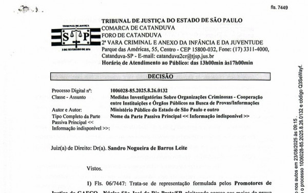 Macaque in the trees