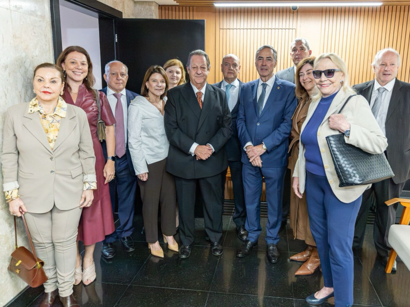 Macaque in the trees