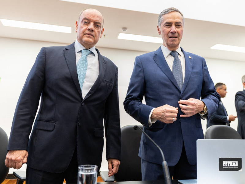 Macaque in the trees