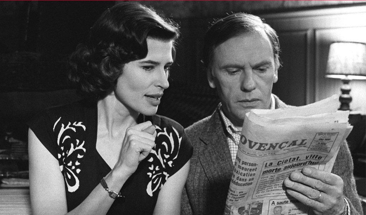 Macaque in the trees