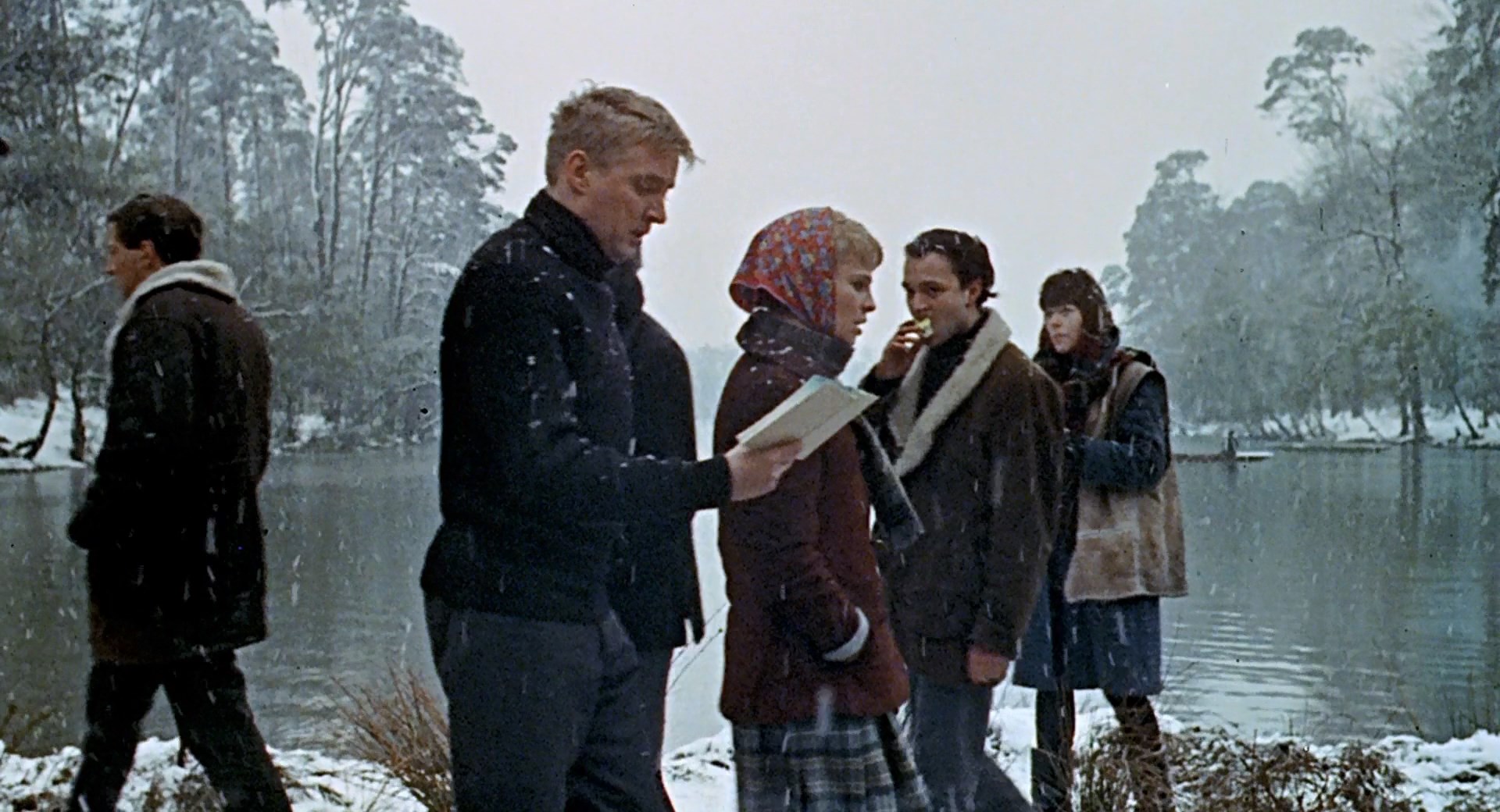 Macaque in the trees