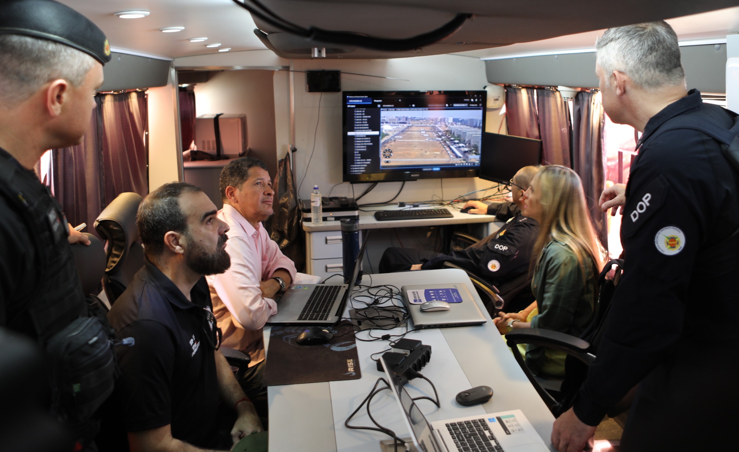 Macaque in the trees