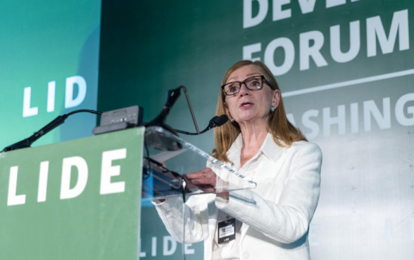 Macaque in the trees