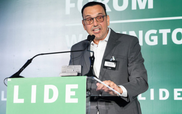 Macaque in the trees