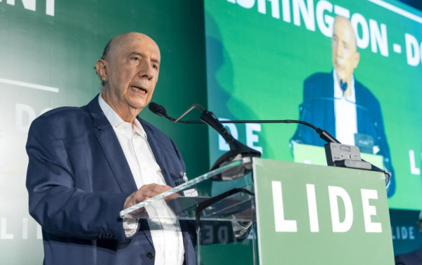 Macaque in the trees