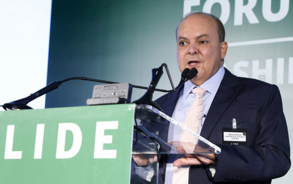 Macaque in the trees