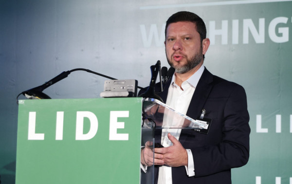 Macaque in the trees