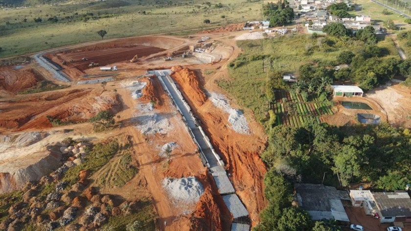 Macaque in the trees