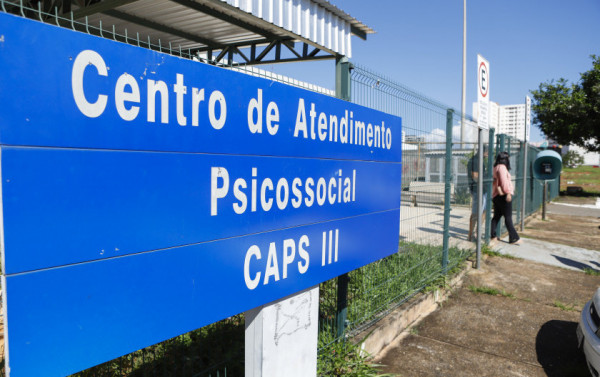 Macaque in the trees