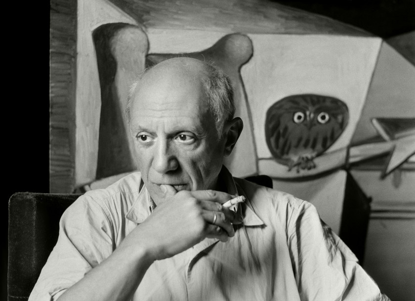 Macaque in the trees