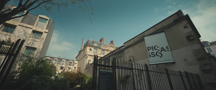 Macaque in the trees