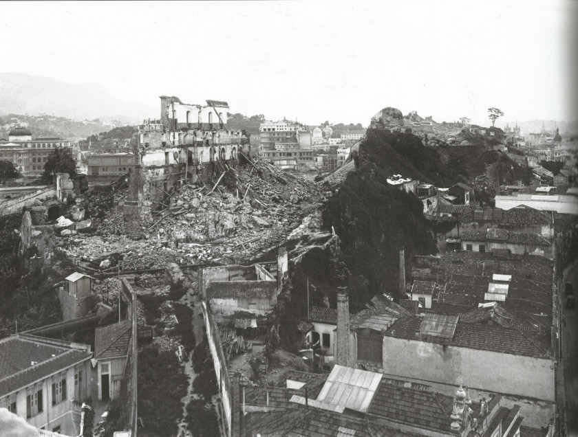 Macaque in the trees