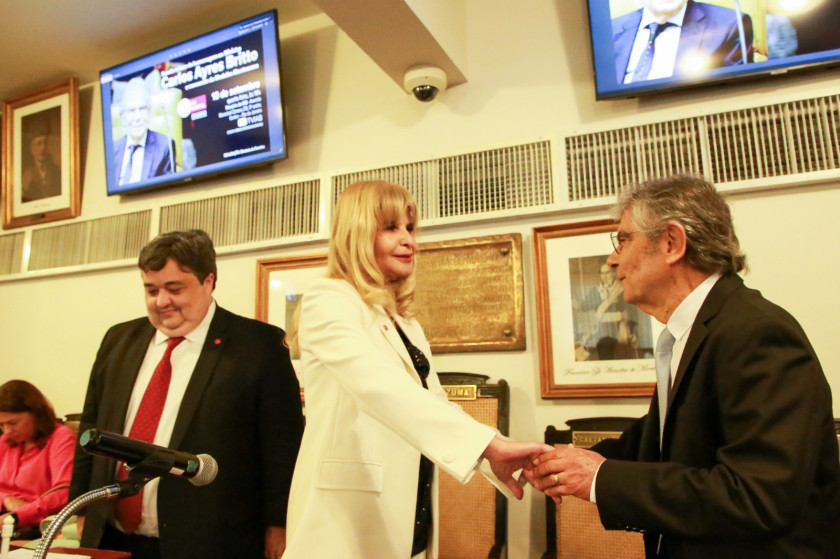 Macaque in the trees