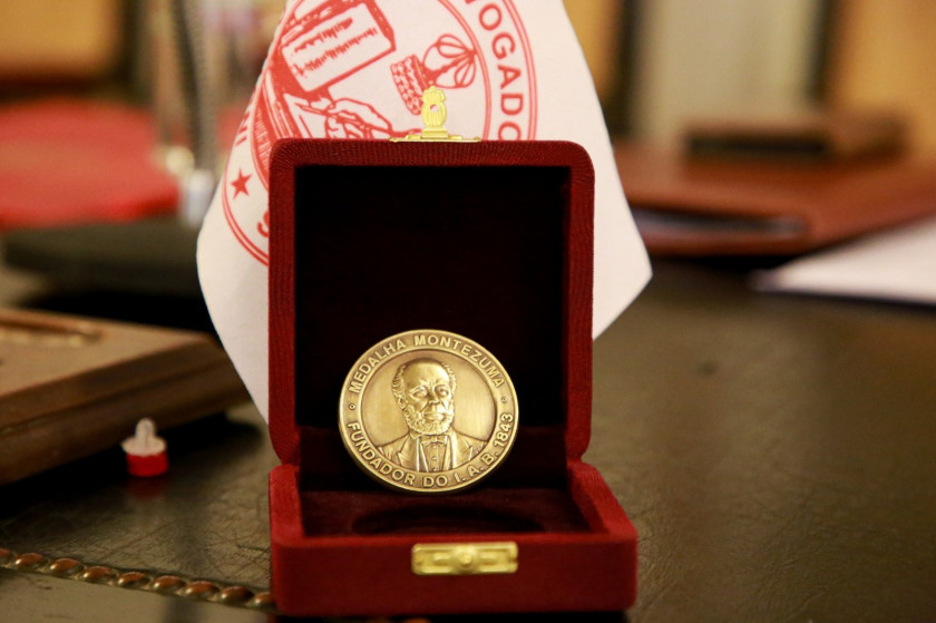 Macaque in the trees