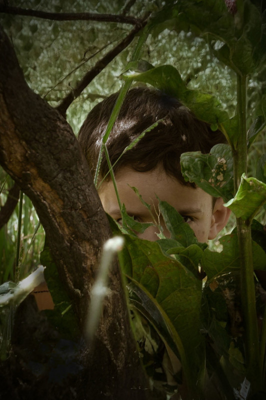Macaque in the trees