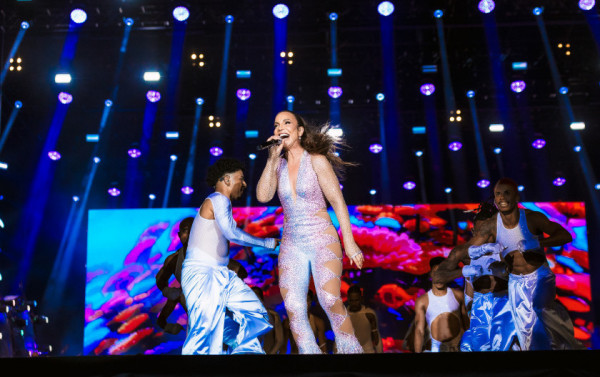 Macaque in the trees