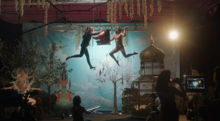 Macaque in the trees