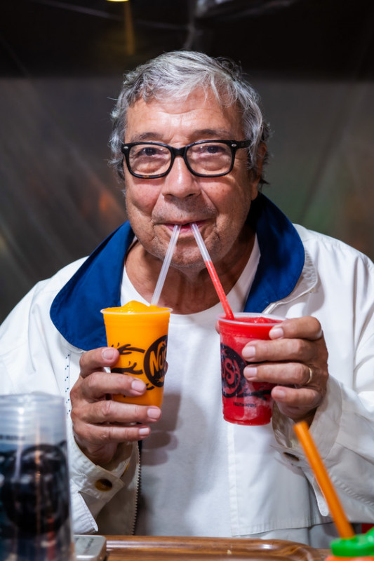 Macaque in the trees