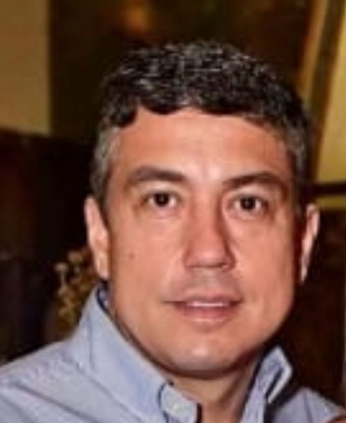 Macaque in the trees