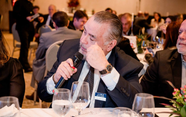 Macaque in the trees