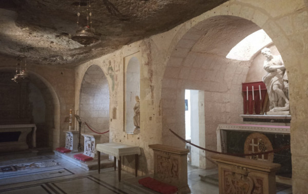 Macaque in the trees