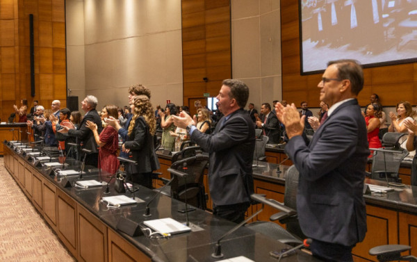 Macaque in the trees