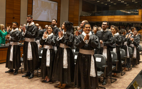 Macaque in the trees