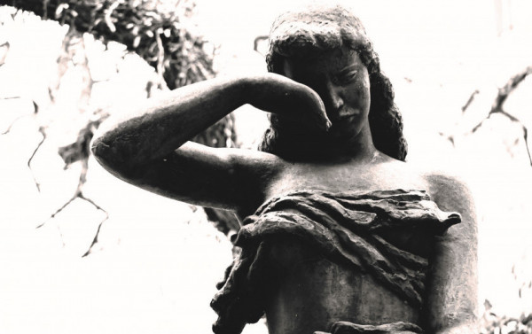 Macaque in the trees