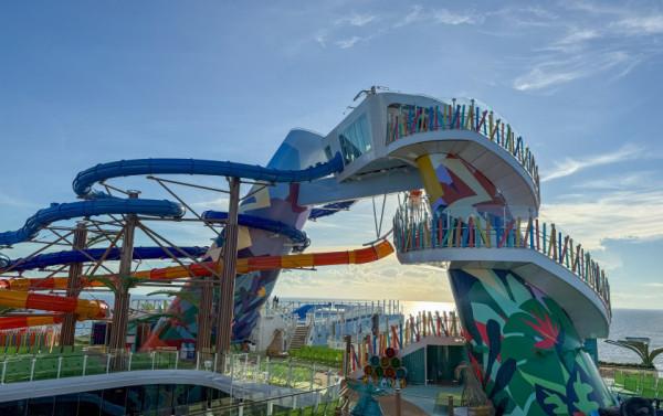 Macaque in the trees