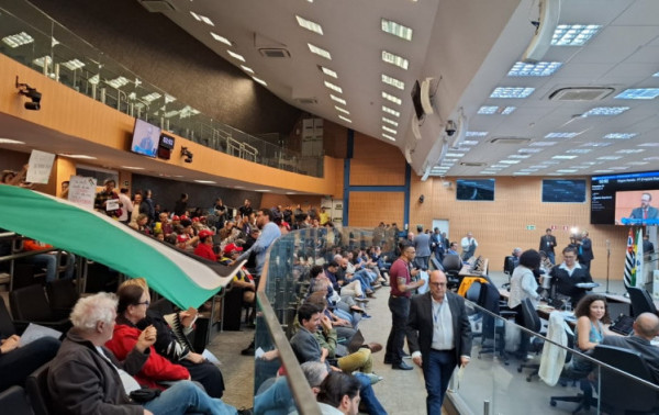 Macaque in the trees