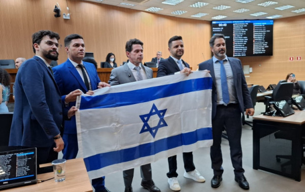 Macaque in the trees