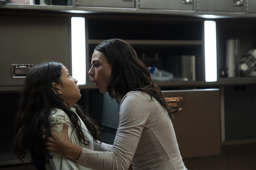 Macaque in the trees