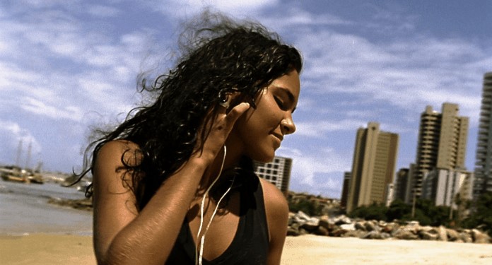 Macaque in the trees