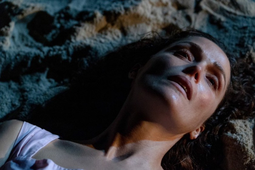 Macaque in the trees