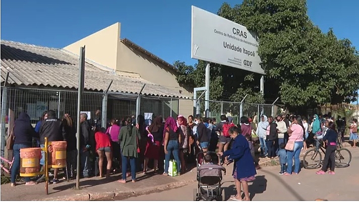 Macaque in the trees