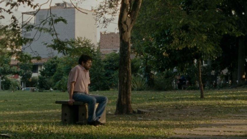 Macaque in the trees