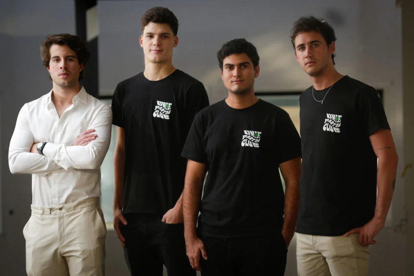 Macaque in the trees