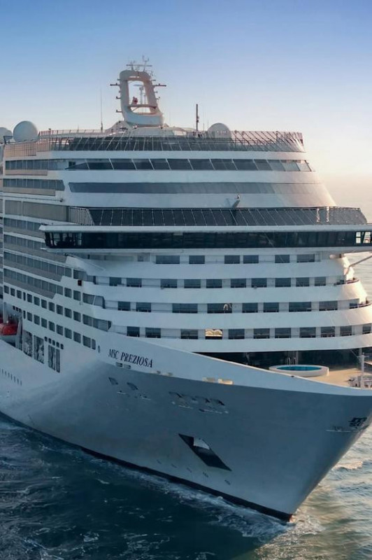 Macaque in the trees
