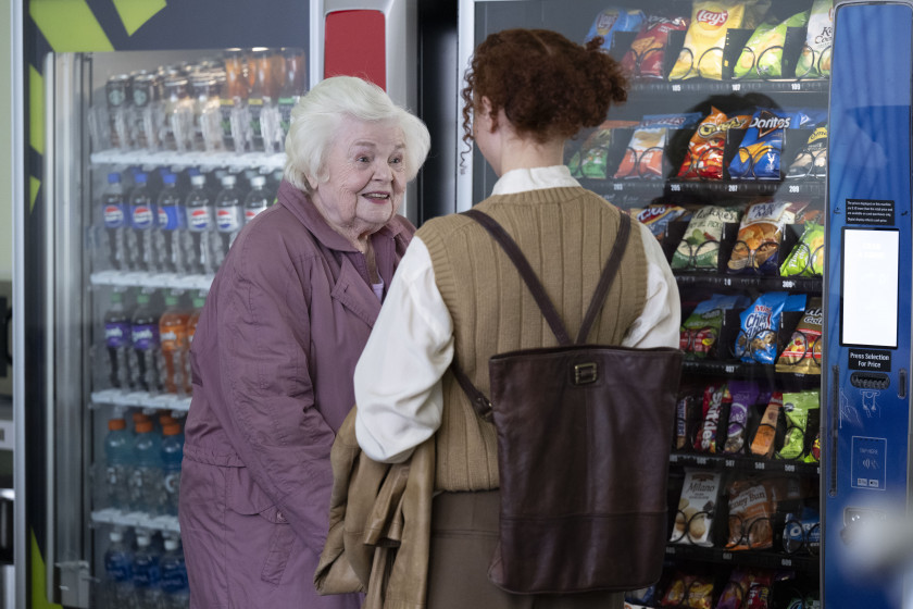 Macaque in the trees