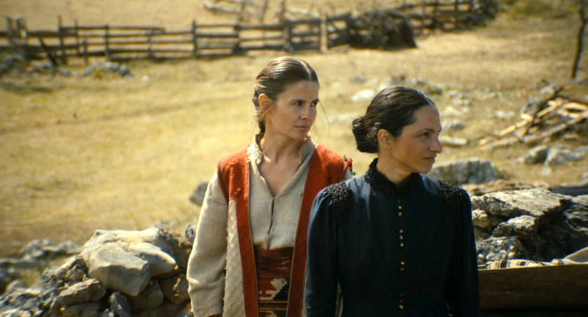 Macaque in the trees