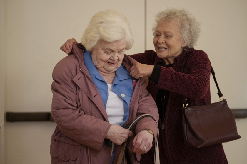 Macaque in the trees