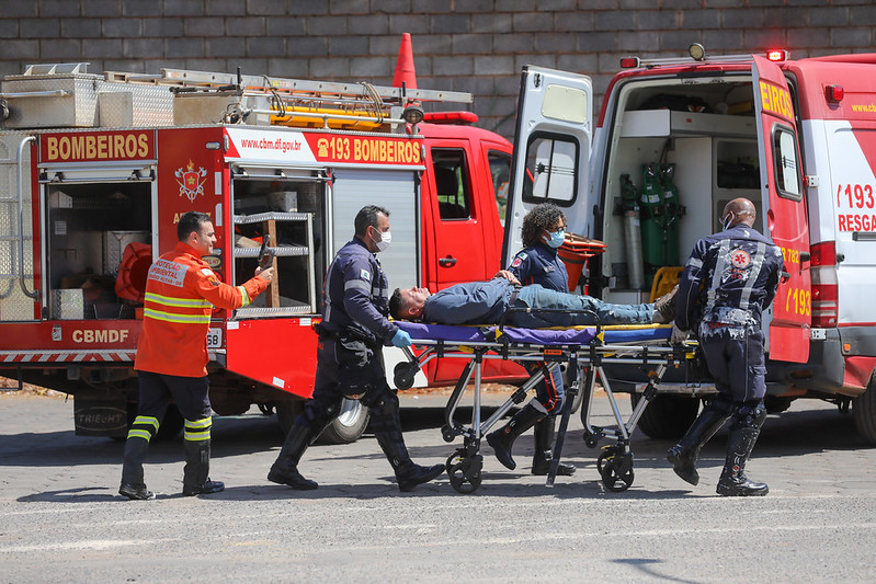 Macaque in the trees