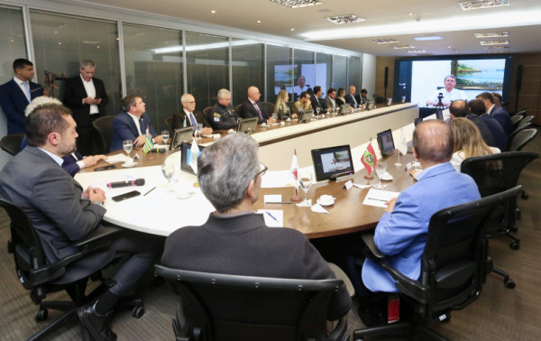 Macaque in the trees